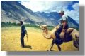 Adventure travel in Asia, for a complete package of high adventure, excitement and a total experience of Asia in all its natural beauty - see it on foot, by motorcycle or 4 wheel drive - stay in hotels or camps - we can offer you total experience!